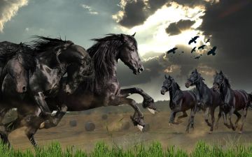 Wild Horses Running. wild horses wallpaper. Ild Rather Be Riding - Android / iPhone HD Wallpaper Background Download